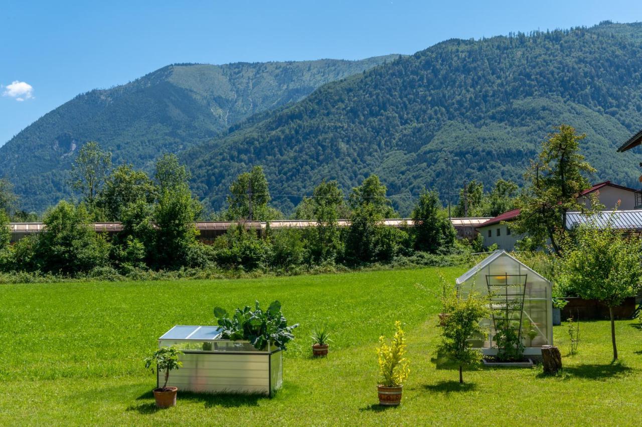 Fruehstueckspension Haus Ahamer Ebensee Eksteriør billede